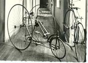 Everything Bicycles - : 1885 STARLEY ADULT TRICYCLE - Photographed in a French Museum: Photographs-Antique Collectables (tin, glass, paper)