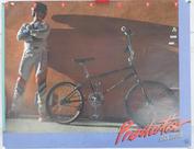 Everything Bicycles - : �1985 Schwinn BMX Predator BLACK SHADOW: Posters