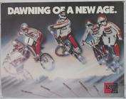 Everything Bicycles - : Schwinn BMX - DRAWING OF A NEW AGE: Posters