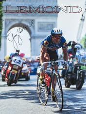 Everything Bicycles - : Greg LeMond Poster: Posters