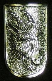 Everything Bicycles - : MOUNTAIN GOAT CYCLES of Chico, California: Nameplates (Head Badges)