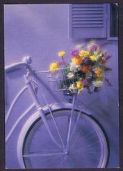 Everything Bicycles - : 1980s Thank you for always giving my spirits a lift: Greeting Cards-Contemporary